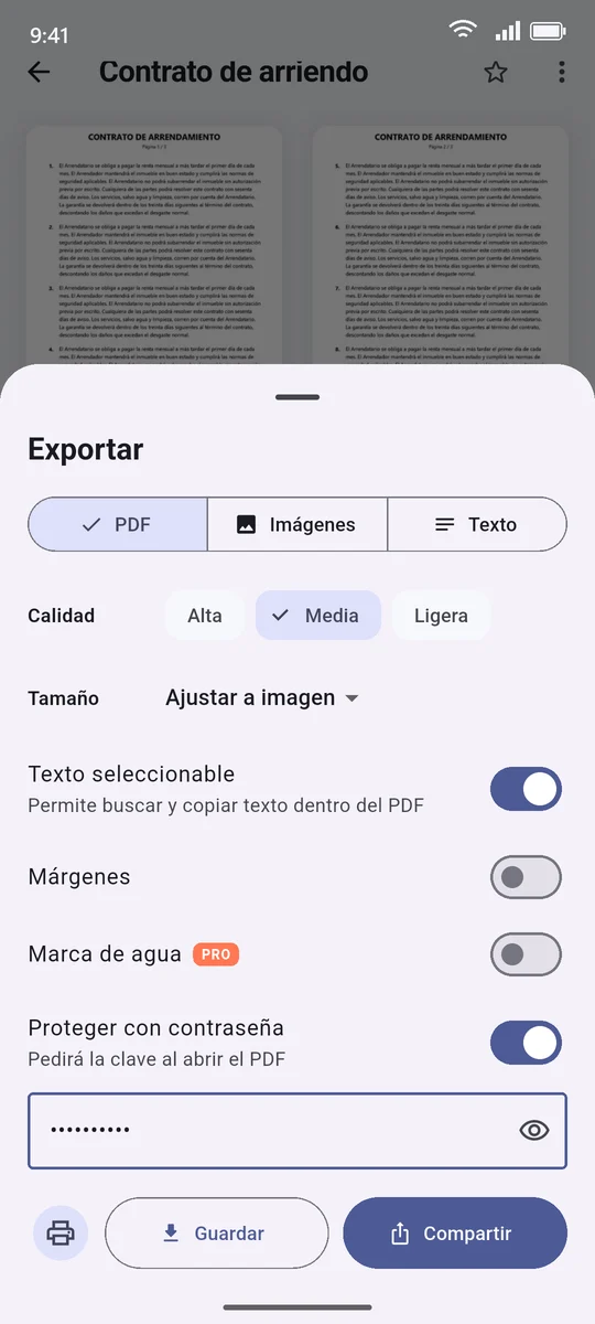 Opciones de exportación a PDF con contraseña